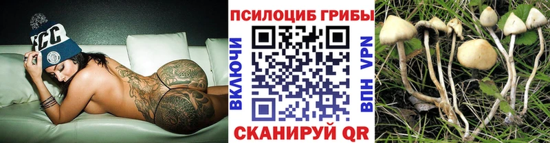 Купить  Верхняя Пышма  Галлюциногенные грибы прущие грибы 